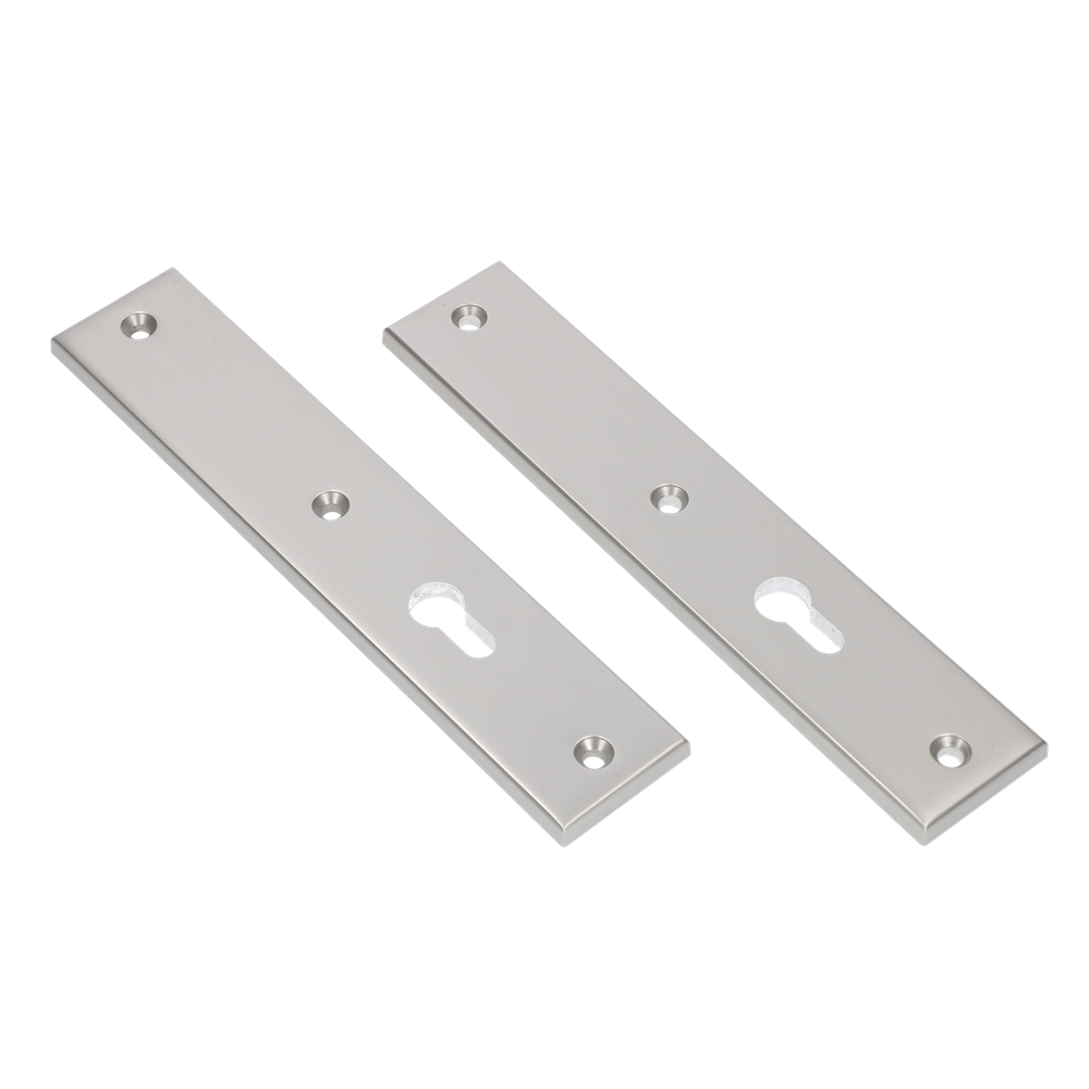 AMI Langschild 251/50/8 Zkrg Profielcilinder 55 F-1 R6,5/R7,3 - 215144
